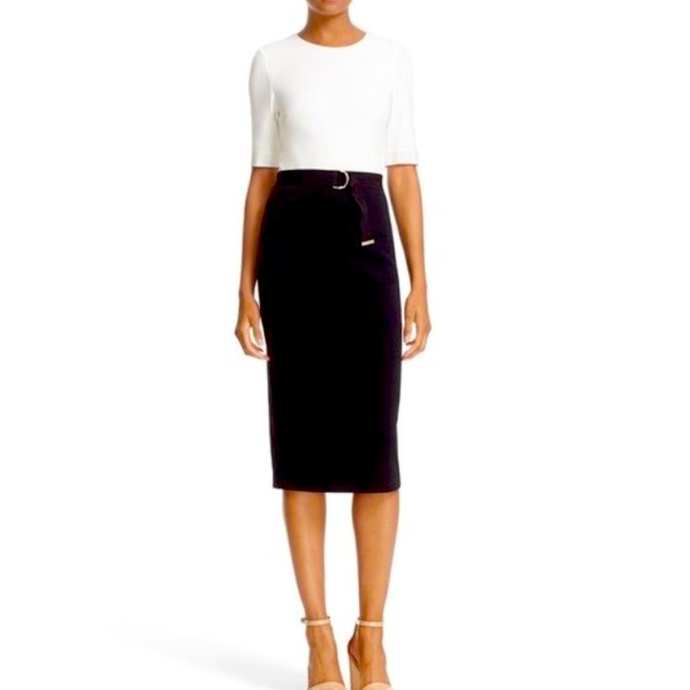 Ted Baker Wandee Colorblock D-Ring Sheath Dress / Ted 2 / US 6 / Black Midi Work